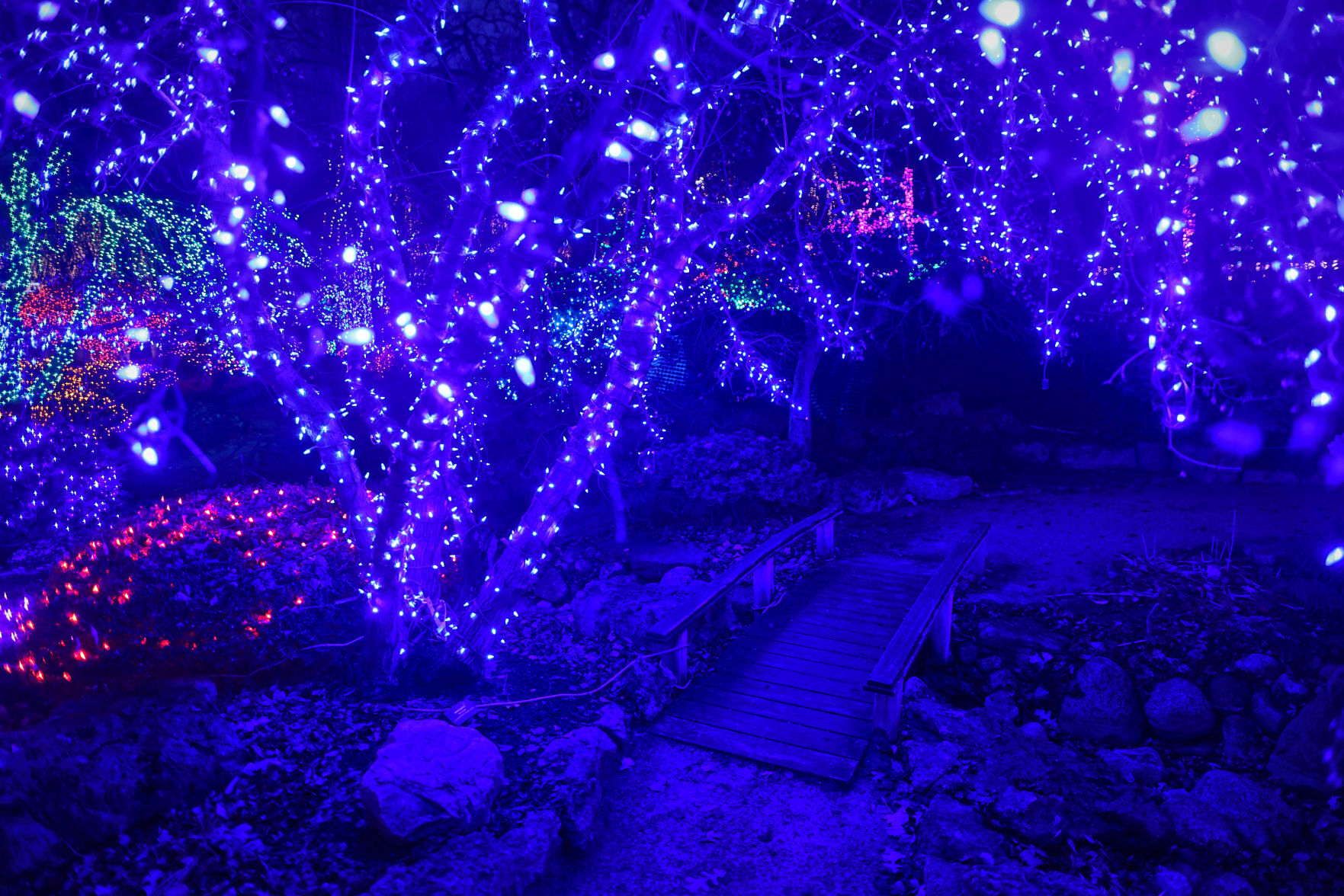 JVG_211121_LIGHTS13